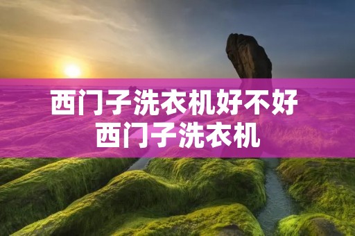西门子洗衣机好不好 西门子洗衣机 西门子洗衣机好不好 西门子洗衣机