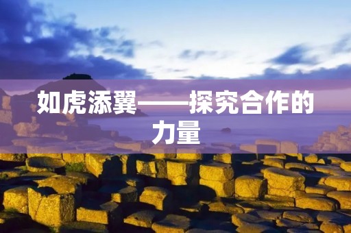 如虎添翼——探究合作的力量