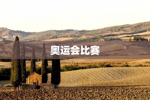 奥运会比赛:体育的盛宴 奥运会比赛:体育的盛宴