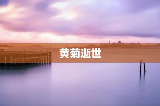 黄菊逝世：一位改革开放时期的政治家离世