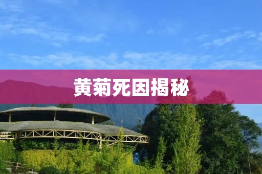 黄菊死因揭秘:真相令人心痛 黄菊死因揭秘:真相令人心痛