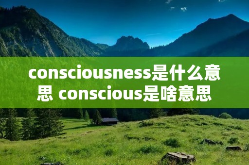 consciousness是什么意思 conscious是啥意思 consciousness是什么意思 conscious是啥意思