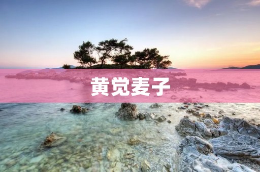 黄觉麦子:一种生态友好型农业资源 黄觉麦子:一种生态友好型农业资源