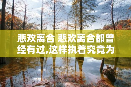 悲欢离合 悲欢离合都曾经有过,这样执着究竟为什么