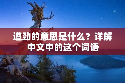遒劲的意思是什么？详解中文中的这个词语