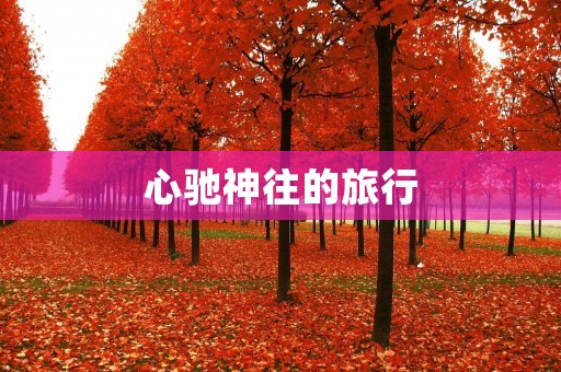 心驰神往的旅行