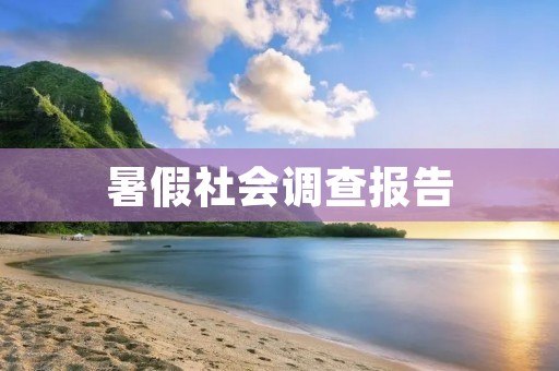 暑假社会调查报告：青少年的消费观念与行为分析
