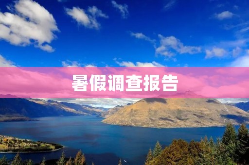 暑假调查报告：中小学生暑期生活状况调查