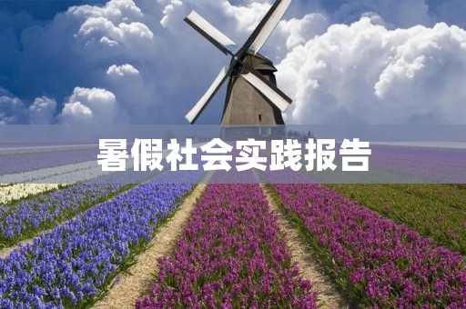 暑假社会实践报告:探寻城市社区文化建设