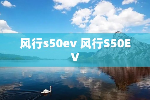 风行s50ev 风行S50EV 风行s50ev 风行S50EV