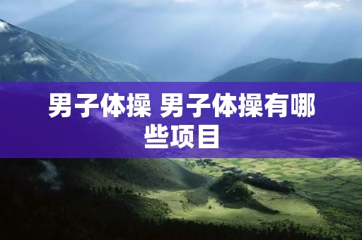 男子体操 男子体操有哪些项目
