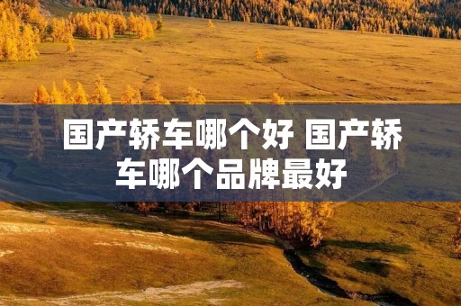 国产轿车哪个好 国产轿车哪个品牌最好 国产轿车哪个好 国产轿车哪个品牌最好