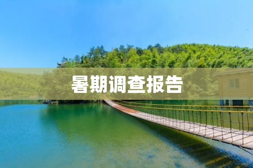 暑期调查报告:大学生暑期生活的现状及问题分析
