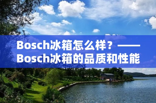 Bosch冰箱怎么样?——Bosch冰箱的品质和性能评测 Bosch冰箱怎么样?——Bosch冰箱的品质和性能评测