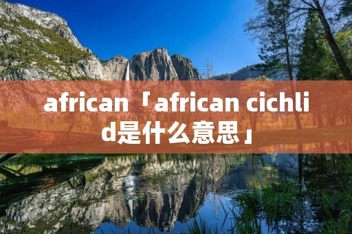 african「african cichlid是什么意思」