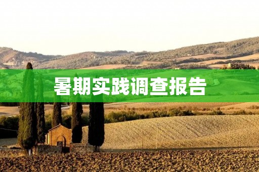 暑期实践调查报告:大学生暑期实践的现状和问题