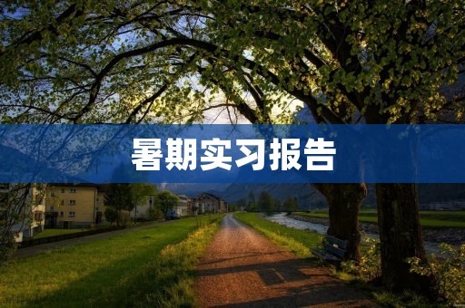 暑期实习报告:我的教育行业实习经历