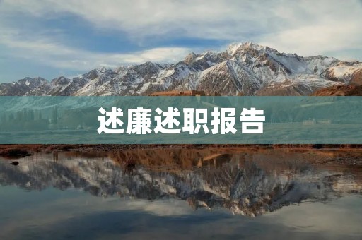 述廉述职报告:做好本职工作,以高标准要求自己
