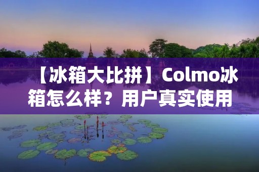 【冰箱大比拼】Colmo冰箱怎么样?用户真实使用体验告诉你! 【冰箱大比拼】Colmo冰箱怎么样?用户真实使用体验告诉你!