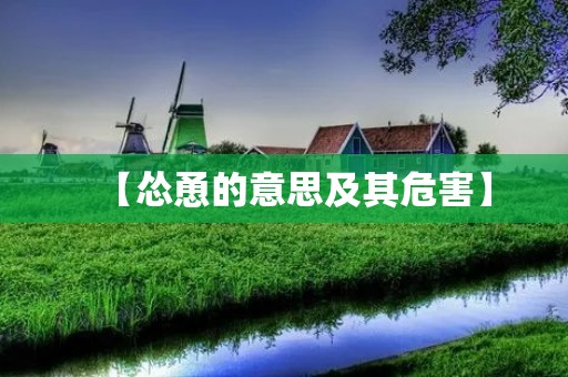 【怂恿的意思及其危害】