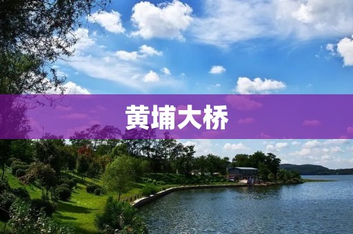 黄埔大桥:连接海陆的交通要道 黄埔大桥:连接海陆的交通要道