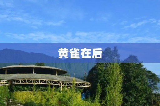 黄雀在后：如何在竞争激烈的市场中脱颖而出