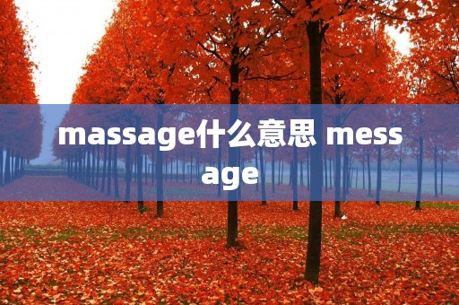 massage什么意思 message