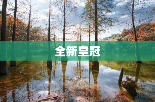 全新皇冠:颠覆传统的豪华轿车 全新皇冠:颠覆传统的豪华轿车