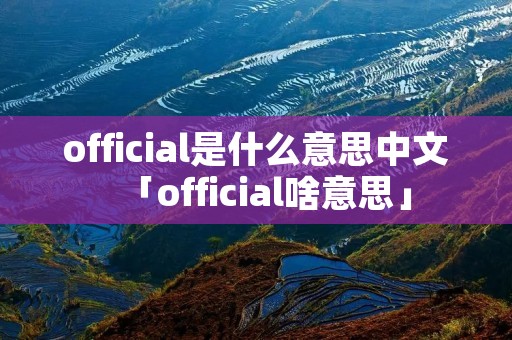 official是什么意思中文「official啥意思」