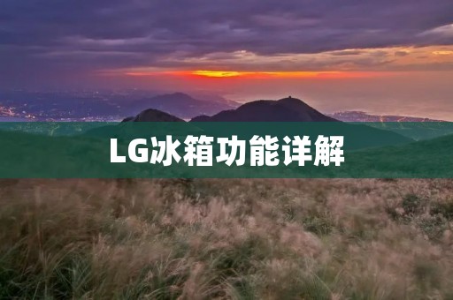 LG冰箱功能详解:了解它的每一个功能 LG冰箱功能详解:了解它的每一个功能