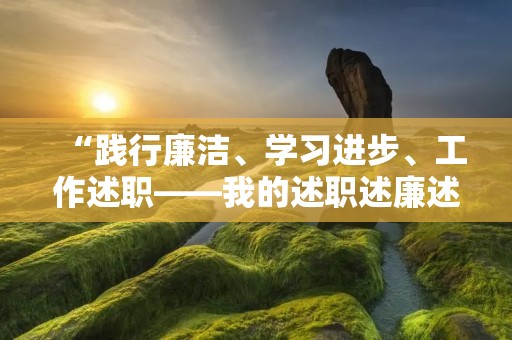 “践行廉洁、学习进步、工作述职——我的述职述廉述学报告”