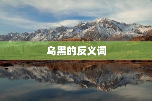 乌黑的反义词:白皙