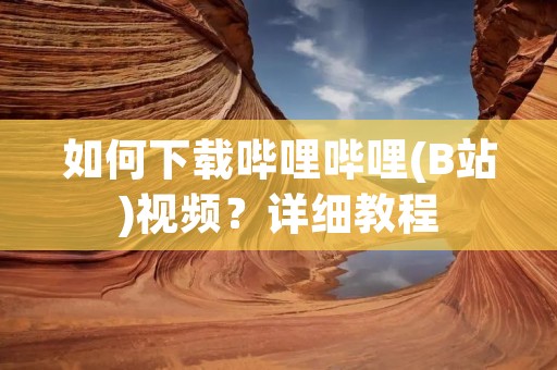 如何下载哔哩哔哩(B站)视频?详细教程