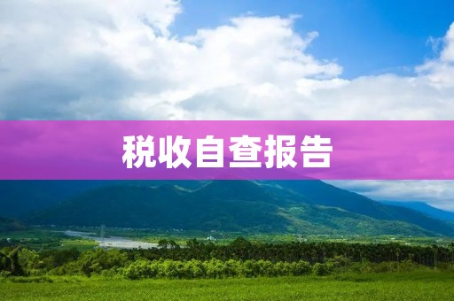 税收自查报告:全面了解企业税务状况的重要工具