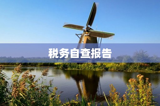 税务自查报告:企业自我管理的重要工具