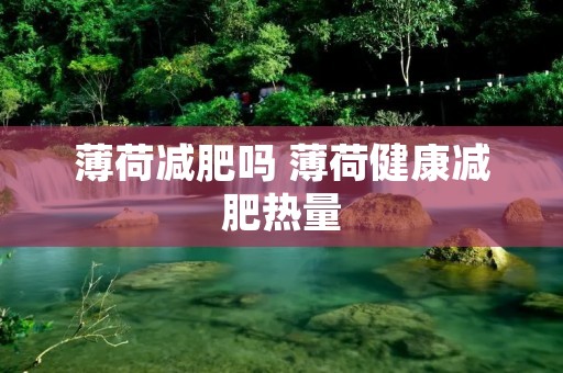 薄荷减肥吗 薄荷健康减肥热量