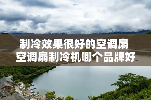 制冷效果很好的空调扇 空调扇制冷机哪个品牌好 制冷效果很好的空调扇 空调扇制冷机哪个品牌好