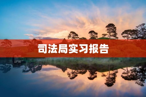 司法局实习报告