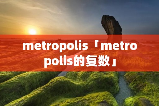 metropolis「metropolis的复数」