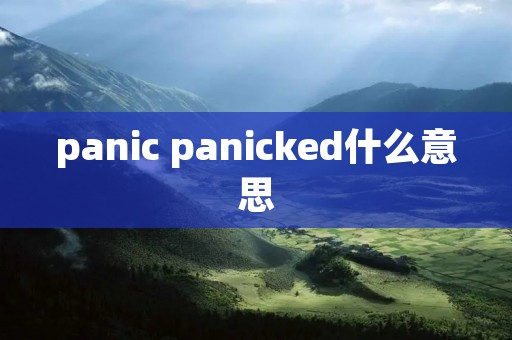 panic panicked什么意思