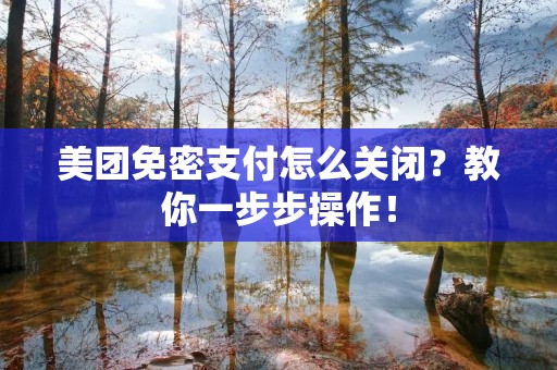 美团免密支付怎么关闭？教你一步步操作！
