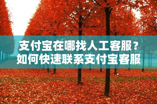 支付宝在哪找人工客服？如何快速联系支付宝客服？