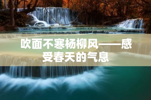 吹面不寒杨柳风——感受春天的气息