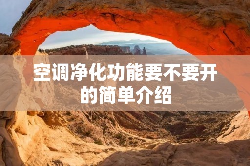 空调净化功能要不要开的简单介绍