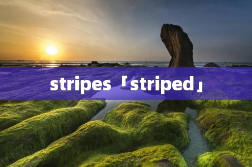 stripes「striped」 stripes「striped」