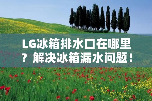 LG冰箱排水口在哪里?解决冰箱漏水问题! LG冰箱排水口在哪里?解决冰箱漏水问题!