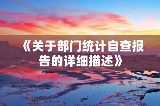 《关于部门统计自查报告的详细描述》