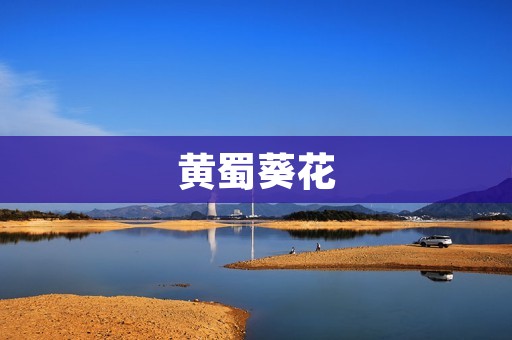 黄蜀葵花:一种美丽的花卉 黄蜀葵花:一种美丽的花卉