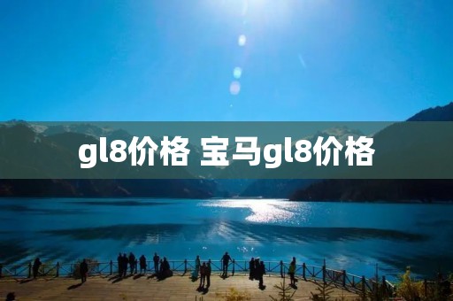 gl8价格 宝马gl8价格