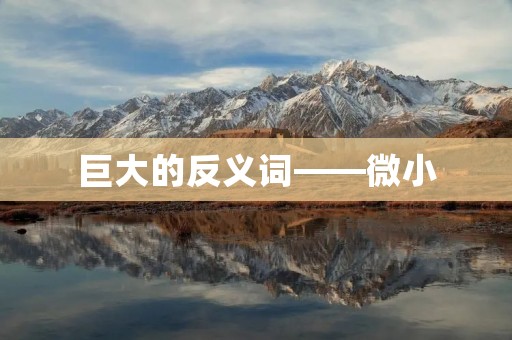 巨大的反义词——微小